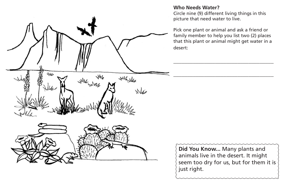 Glen Canyon National Recreation Area Junior Ranger Booklet, Page 8