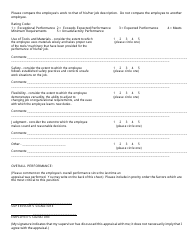 Annual Performance Appraisal Form, Page 3