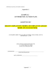 Sample Affirmative Action Plan Template