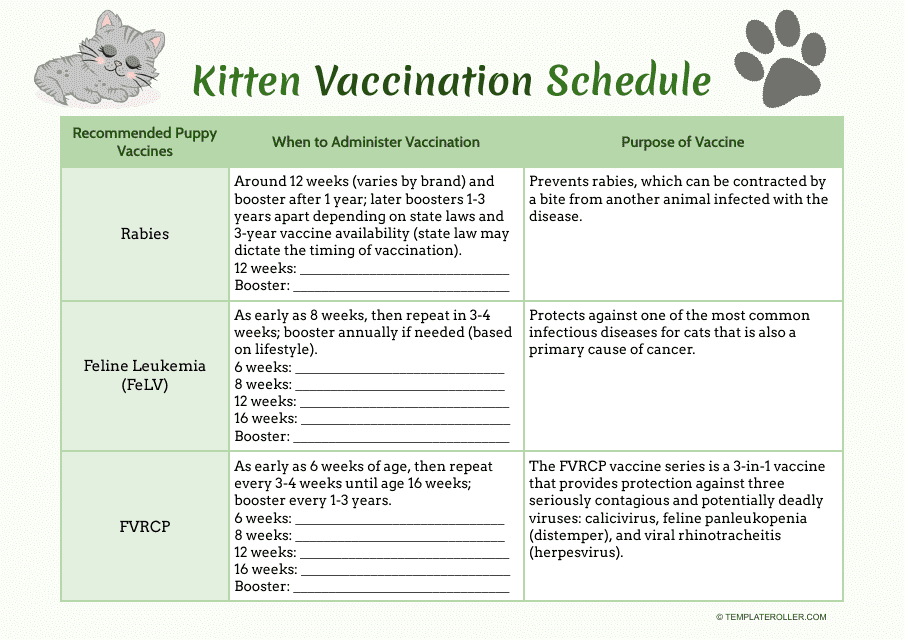 Kitten Vaccination Schedule Template