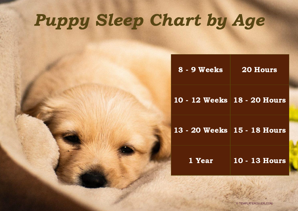 Puppy Sleep Chart by Age Download Printable PDF Templateroller