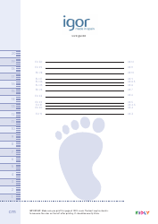 Document preview: Children's Foot Size Chart