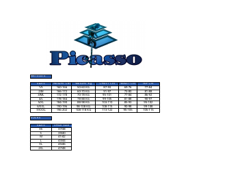 Document preview: Wetsuit Size Chart - Picasso