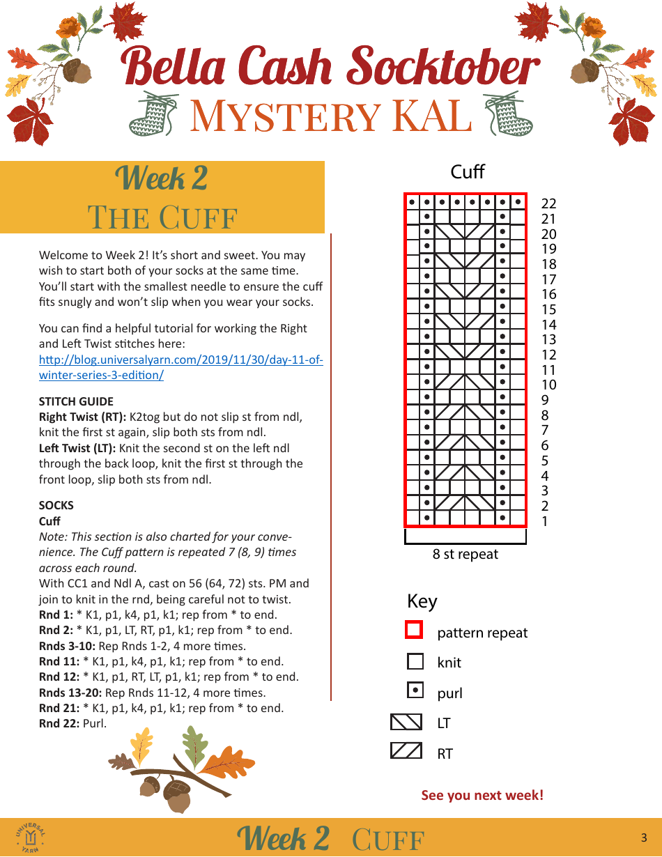 Sweet Dumplin Socks Knitting Pattern, Page 4