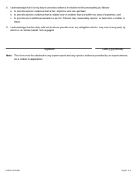 Form 0304E Acknowledgement of Expert&#039;s Duty - Ontario, Canada, Page 2