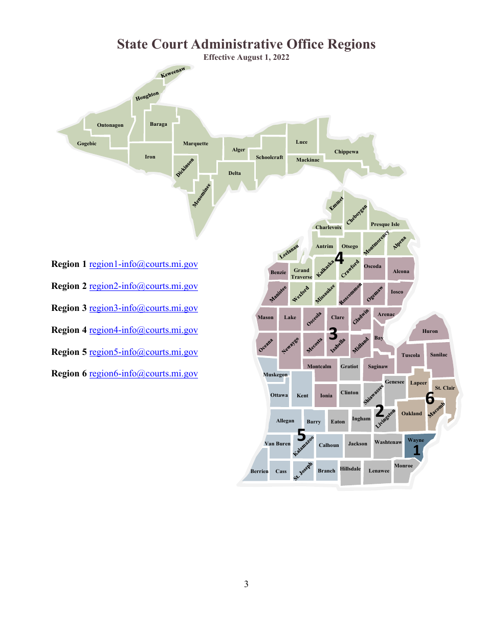 Request for Inquiry of Michigan Trial Court Administrative Procedure - Michigan, Page 3