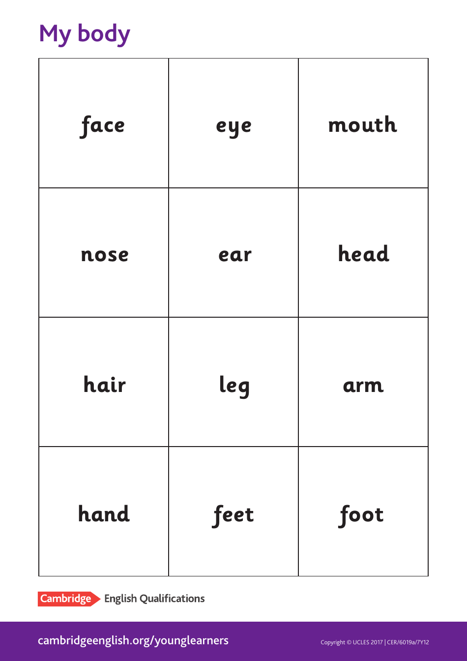 Cambridge English Pre A1 Flashcards, Page 3