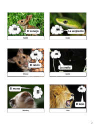 Spanish Revision Flashcards - Animals, Page 2