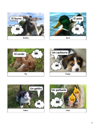 Spanish Revision Flashcards - Animals, Page 5
