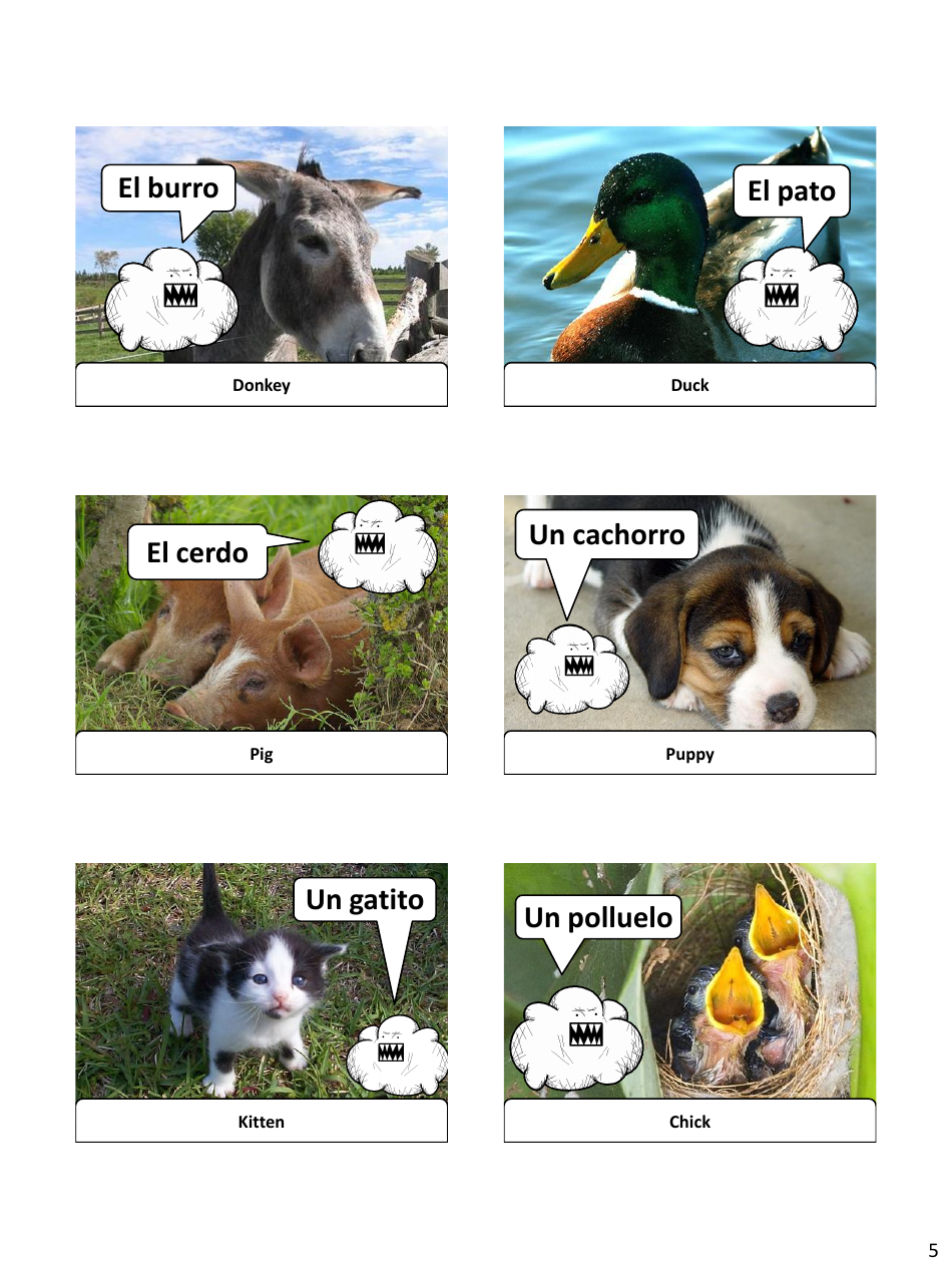 Spanish Revision Flashcards - Animals, Page 5
