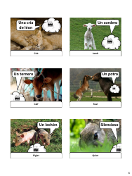 Spanish Revision Flashcards - Animals, Page 6
