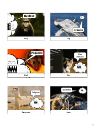 Spanish Revision Flashcards - Animals, Page 7