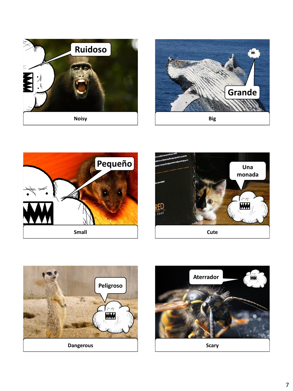Spanish Revision Flashcards - Animals, Page 7