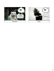 Spanish Revision Flashcards - Animals, Page 8