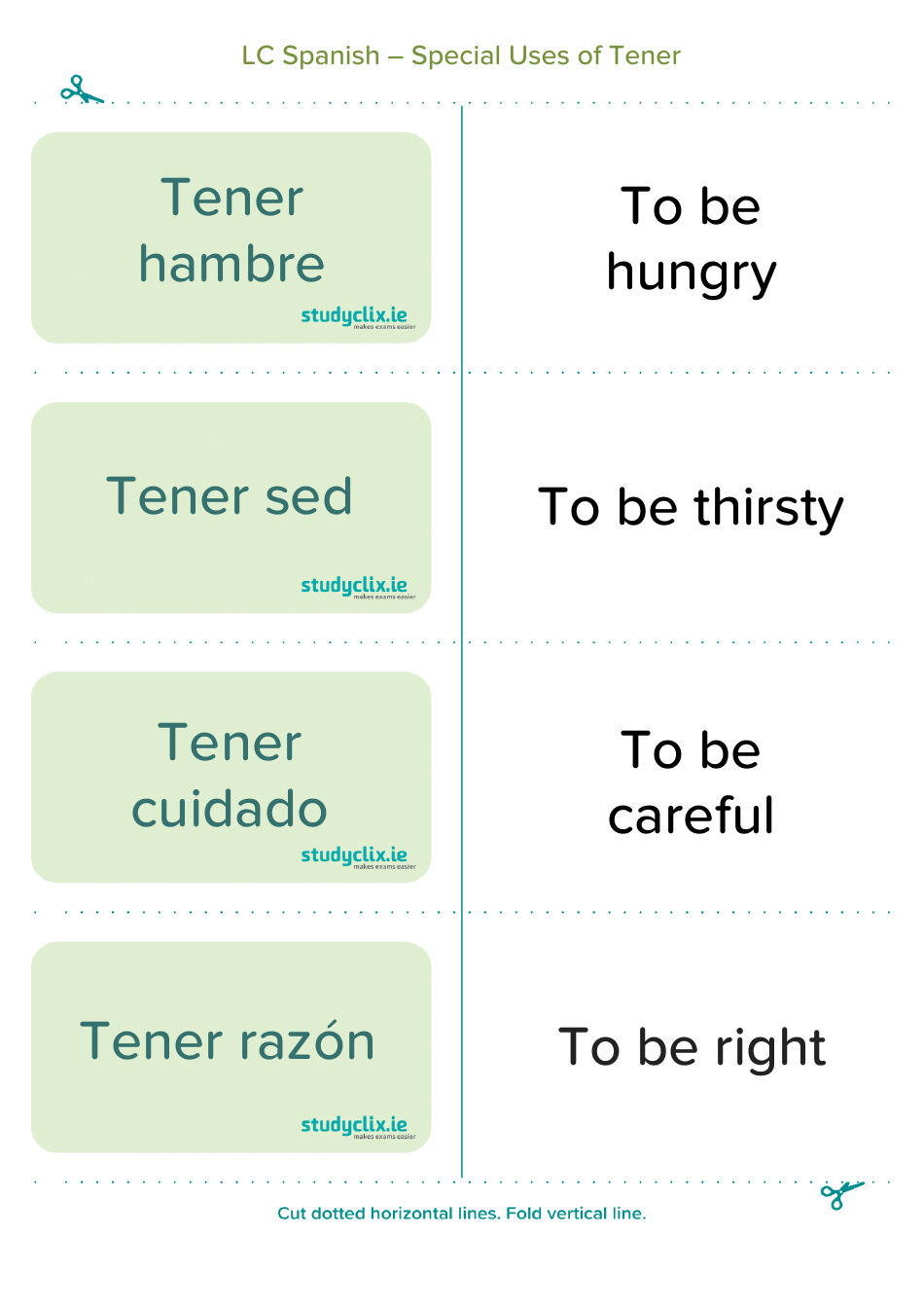 Spanish Flashcards - Diary Entry Phrases, Page 13