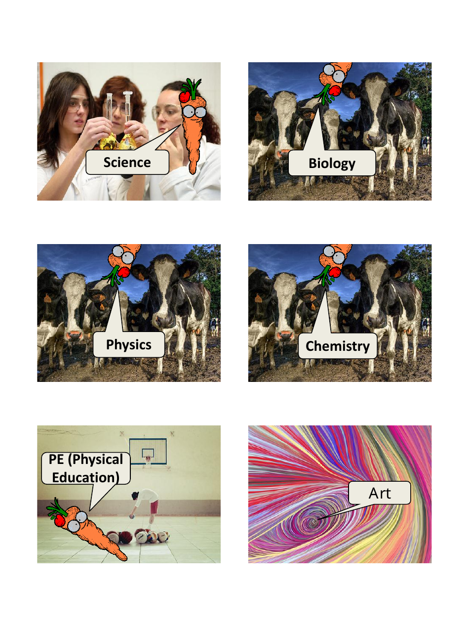 English Vocab Revision Flashcards - School, Page 9