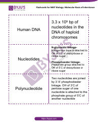 Document preview: Neet Biology Flashcards - Molecular Basis of Inheritance