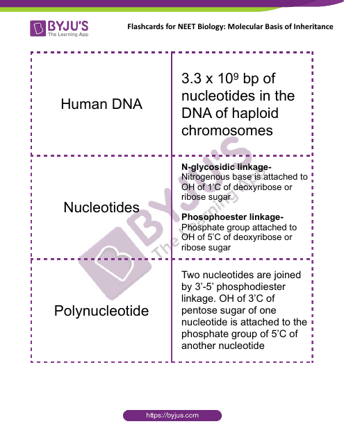 Neet Biology Flashcards - Molecular Basis of Inheritance