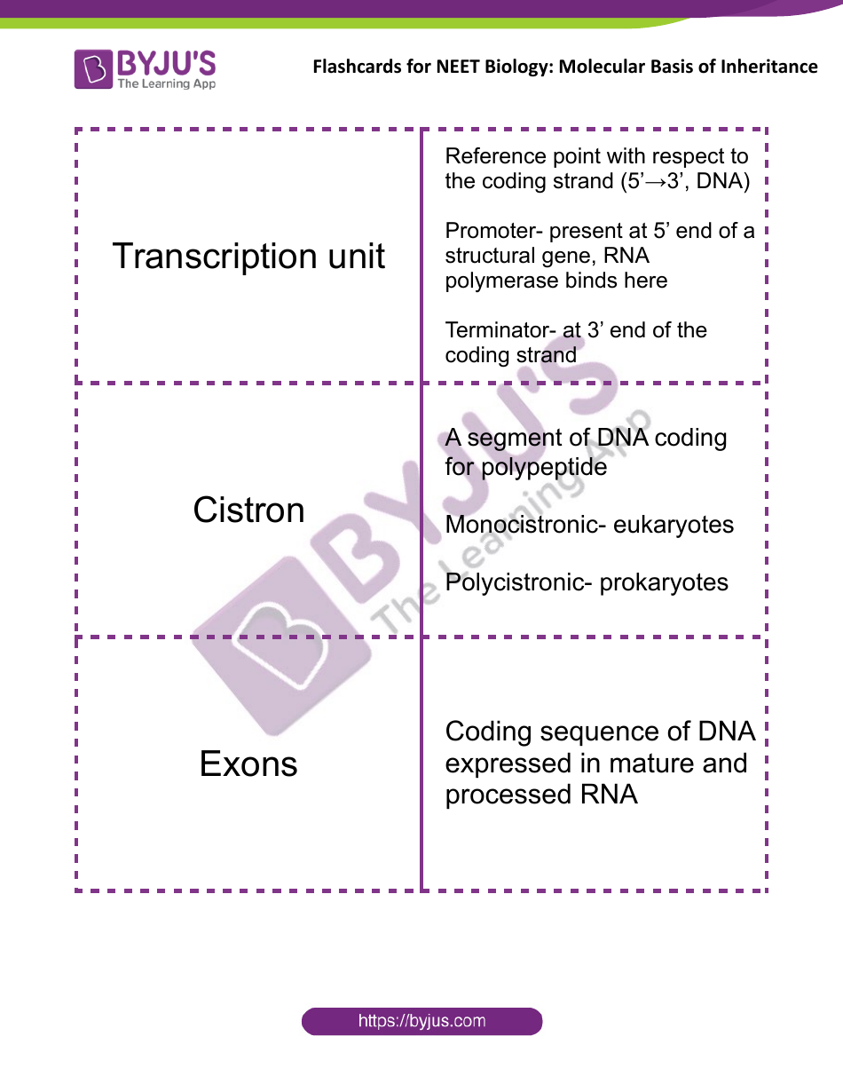 Neet Biology Flashcards - Molecular Basis of Inheritance, Page 10