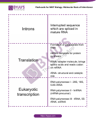 Neet Biology Flashcards - Molecular Basis of Inheritance, Page 11