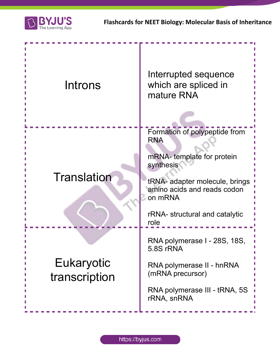 Neet Biology Flashcards - Molecular Basis of Inheritance, Page 11