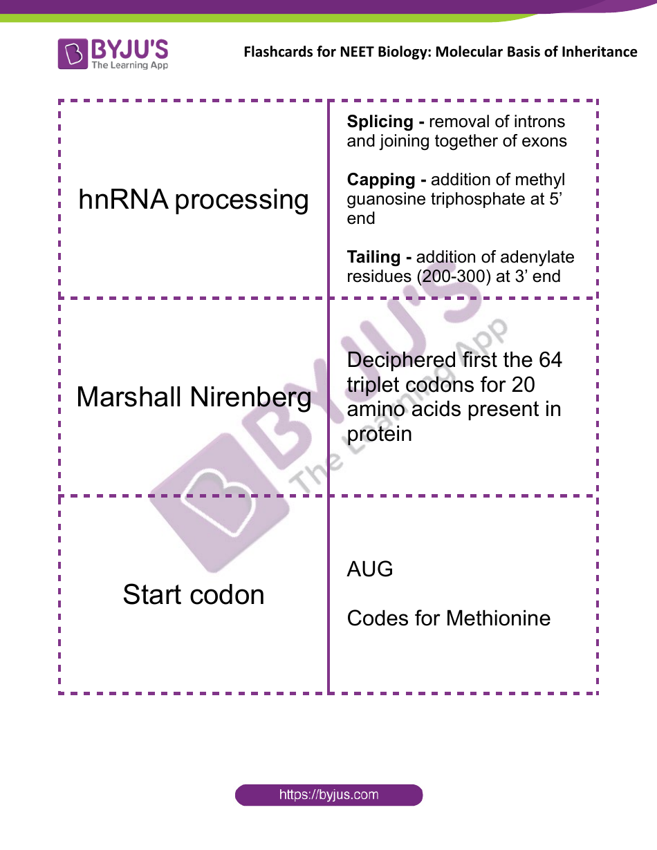 Neet Biology Flashcards - Molecular Basis of Inheritance, Page 12