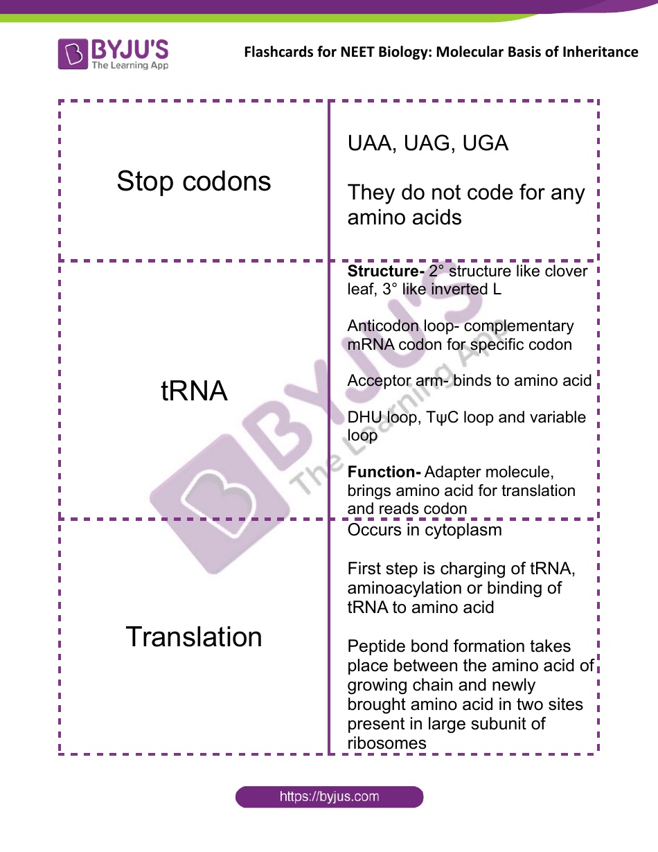 Neet Biology Flashcards - Molecular Basis of Inheritance, Page 13