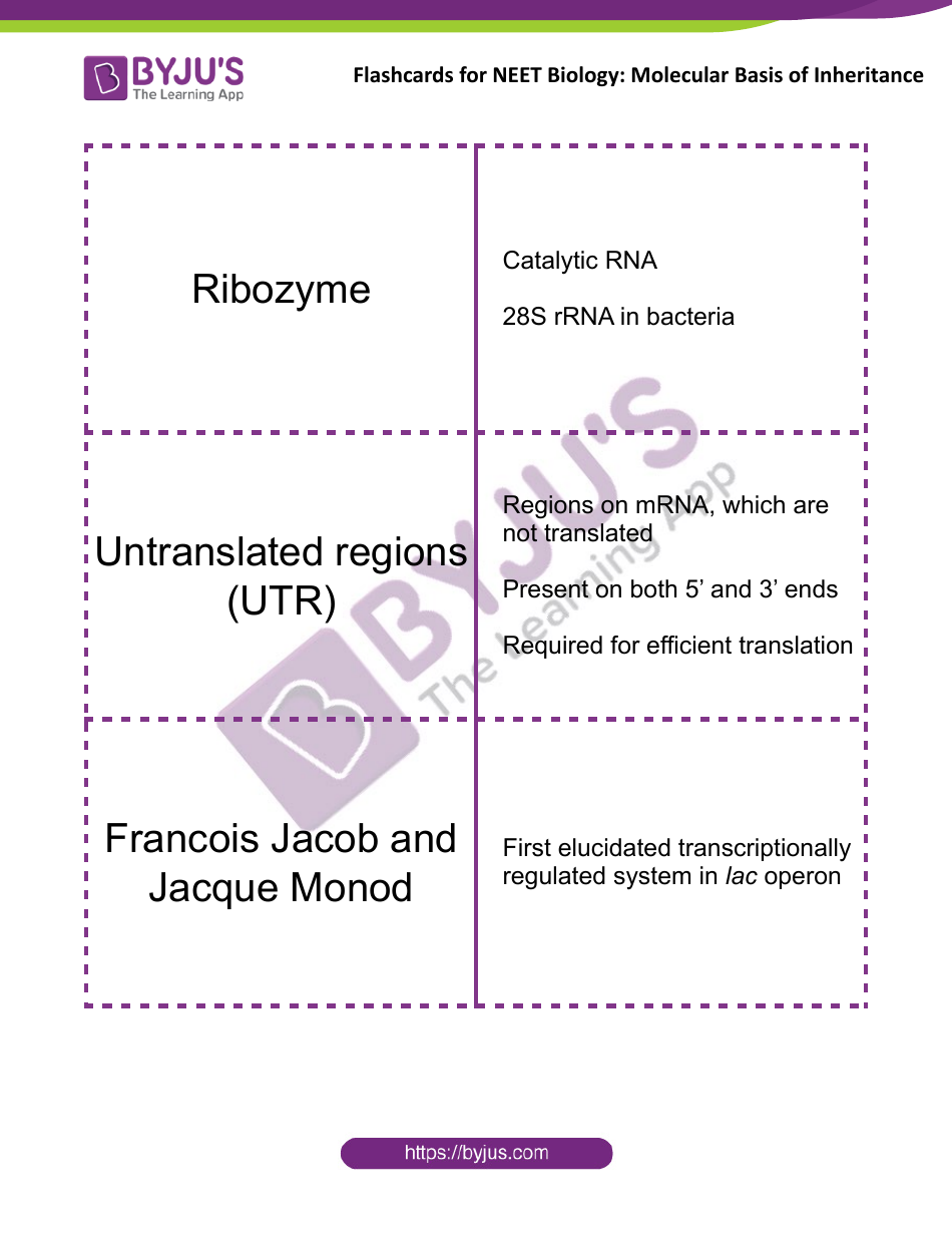 Neet Biology Flashcards - Molecular Basis of Inheritance, Page 14