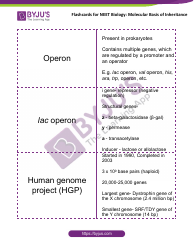 Neet Biology Flashcards - Molecular Basis of Inheritance, Page 15