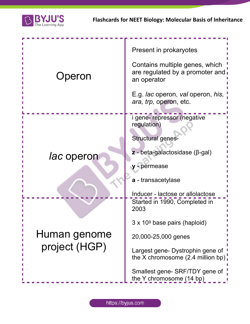 Neet Biology Flashcards - Molecular Basis of Inheritance, Page 15