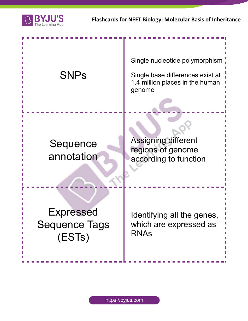 Neet Biology Flashcards - Molecular Basis of Inheritance, Page 16