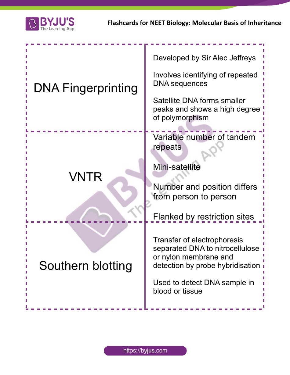 Neet Biology Flashcards - Molecular Basis of Inheritance, Page 17