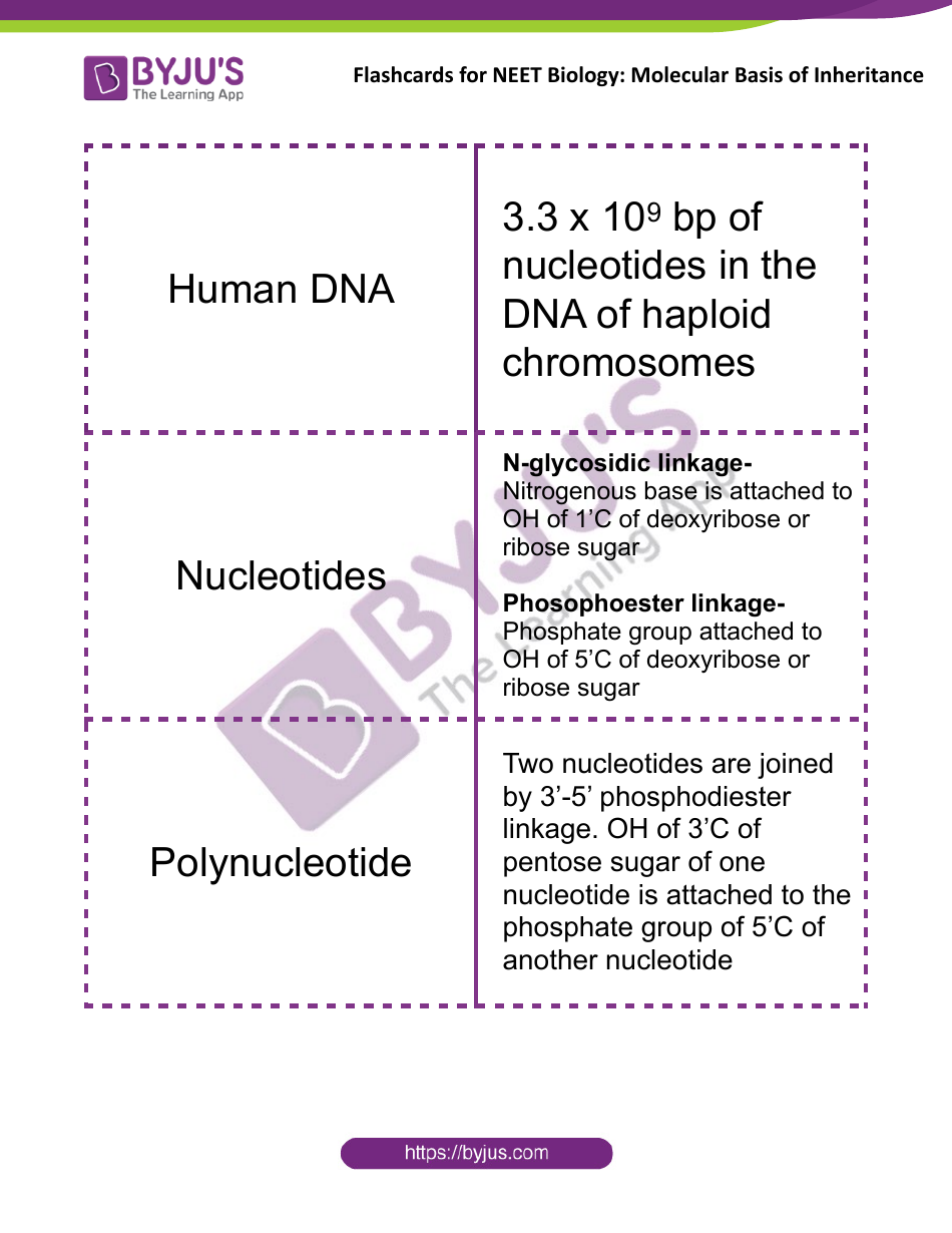 Neet Biology Flashcards - Molecular Basis of Inheritance, Page 1