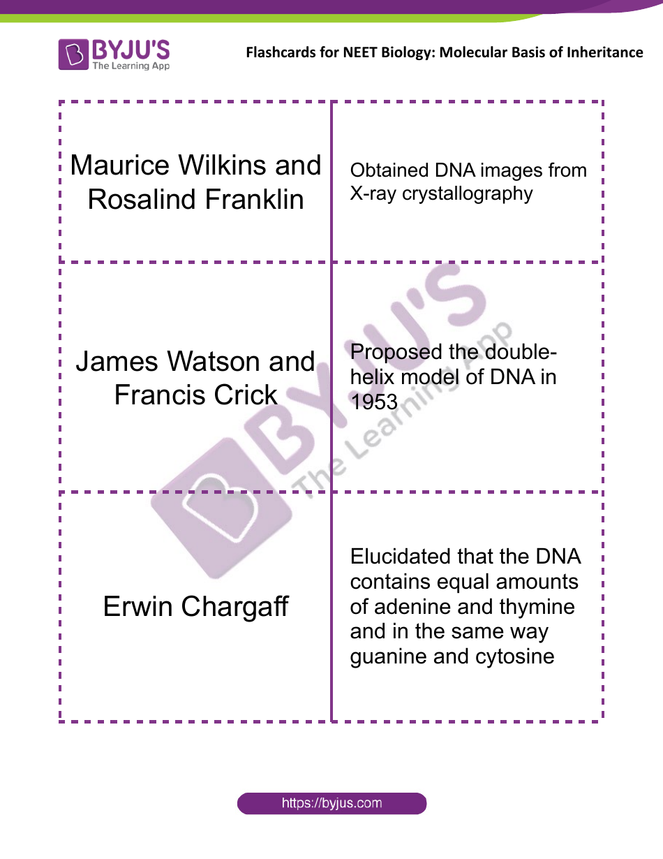 Neet Biology Flashcards - Molecular Basis of Inheritance, Page 3