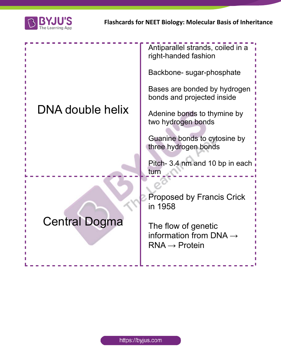 Neet Biology Flashcards - Molecular Basis of Inheritance, Page 4