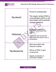 Neet Biology Flashcards - Molecular Basis of Inheritance, Page 5