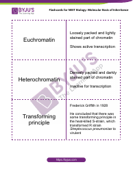 Neet Biology Flashcards - Molecular Basis of Inheritance, Page 6