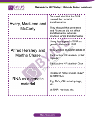 Neet Biology Flashcards - Molecular Basis of Inheritance, Page 7