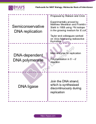 Neet Biology Flashcards - Molecular Basis of Inheritance, Page 8