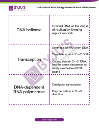 Neet Biology Flashcards - Molecular Basis of Inheritance, Page 9