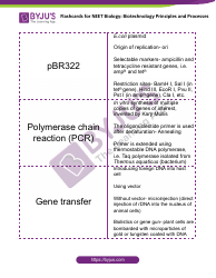 Neet Biology Flashcards - Biotechnology Principles and Processes, Page 4