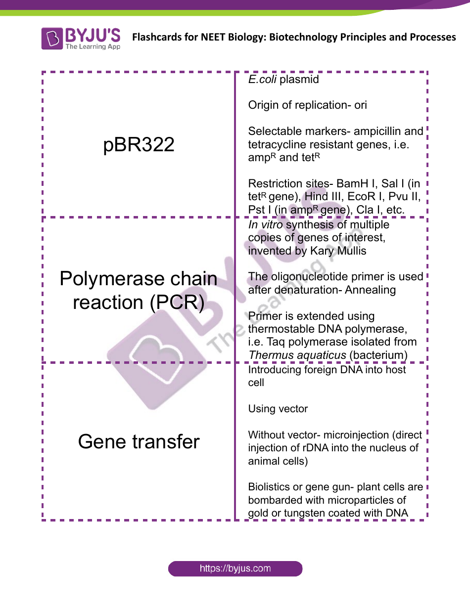 Neet Biology Flashcards - Biotechnology Principles and Processes, Page 4