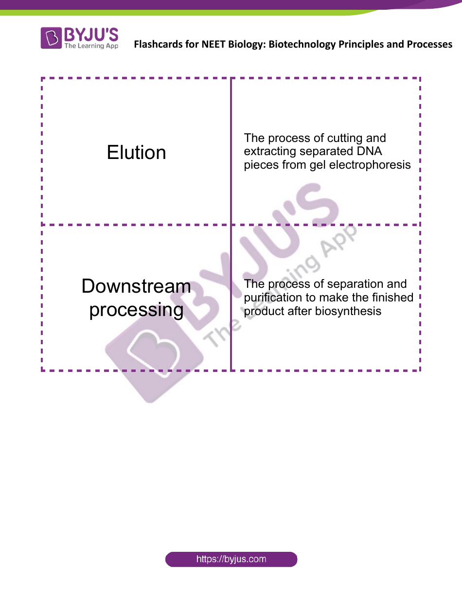 Neet Biology Flashcards - Biotechnology Principles and Processes, Page 5