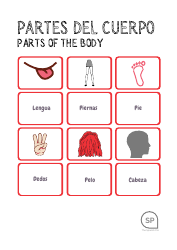 Spanish Flashcards - Parts of the Body, Page 2