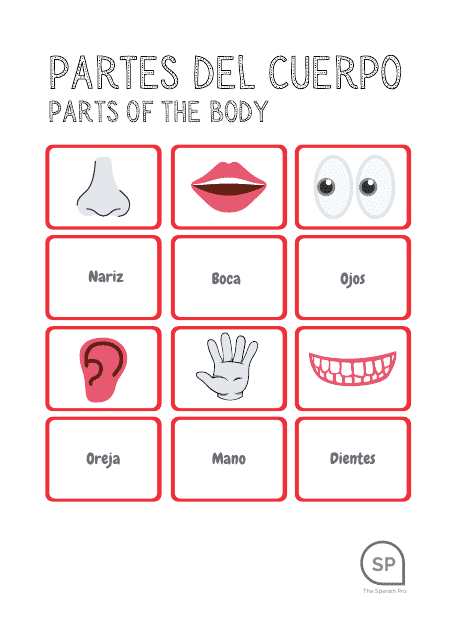 Spanish Flashcards - Parts of the Body