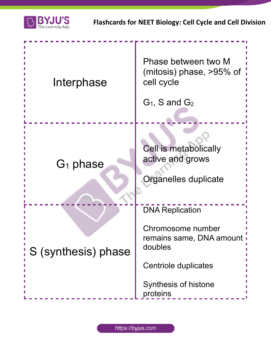 Neet Biology Flashcards Cell Cycle and Cell Division Download