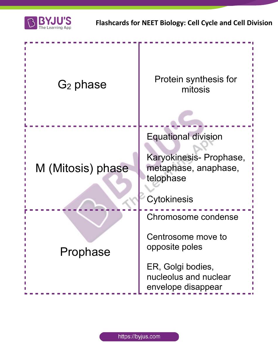 Neet Biology Flashcards - Cell Cycle and Cell Division, Page 2