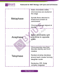 Neet Biology Flashcards - Cell Cycle and Cell Division, Page 3