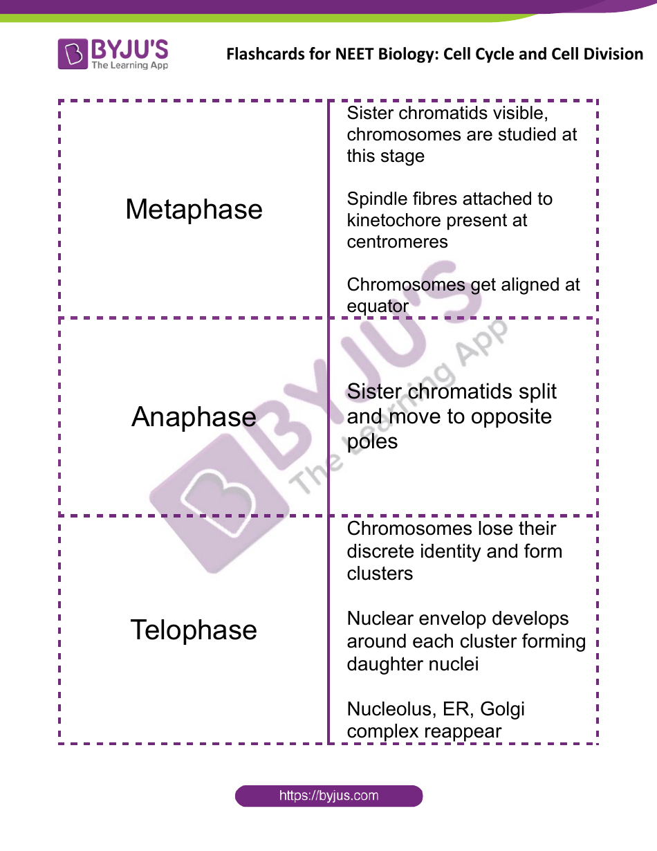 Neet Biology Flashcards - Cell Cycle and Cell Division, Page 3
