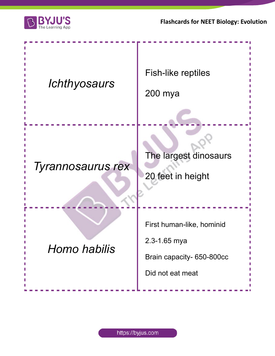 Neet Biology Flashcards - Evolution, Page 4